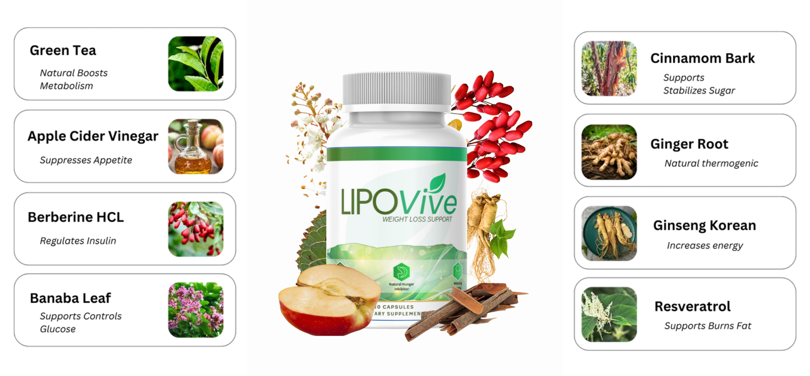 LipoVive natural ingredient visual